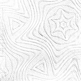 Star Spider